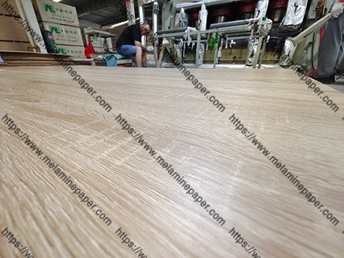 wood fibers